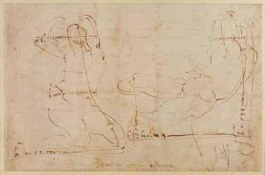 川の神のための研究